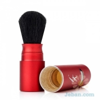 Brush N' Balance Powder