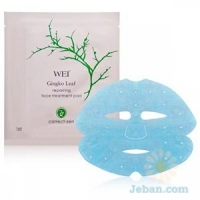 Gingko Leaf Repairing Face Treatment Pads