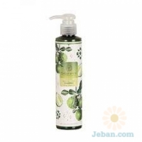 Shining Kaffir Lime : Shampoo