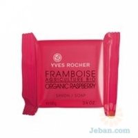 Organic Raspberry : Soap