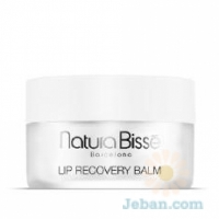 Lip Recovery Balm