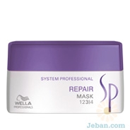 Repair Mask