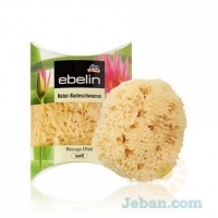 Natural Bath Sponge