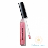 High Shimmer Lip Gloss