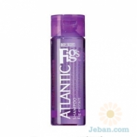 Body Resort : Atlantic Figs Shampoo