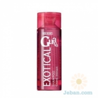 Body Resort : Exotical Guava Shampoo