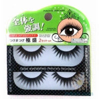 False Eyelash No.210 Enhances The Entire Eye Area