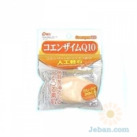 Coenzyme Q10 Artificial Pumice Stone