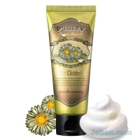 Purity Chrysanthemerm Foam Cleanser