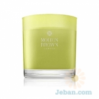 Lily of the Valley & Violet Leaf : Three Wick Candle