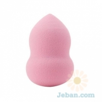 Foundation Sponge