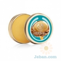 Wild Argan Oil : Solid Oil Lip