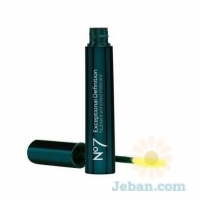 Exceptional Definition Mascara