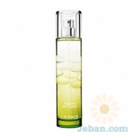 Fleur De Vigne Fresh Fragrance