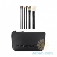 Look In A Box : Advanced Travel Brush Kit