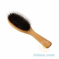 Hair Care Brush