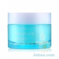 Aquaporin : Moisture Cream