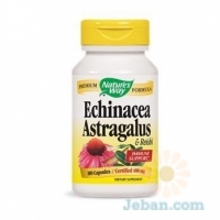 Echinacea Astragalus & Reishi