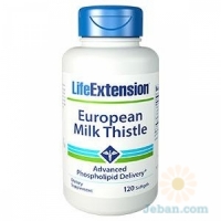 European Milk Thistle