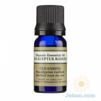 Eucalyptus Radiata Organic Essential Oil