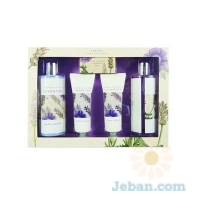 Garden Collection : Lavender Selection Box