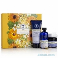 Rejuvenate Frankincense : Organic Beauty Collection