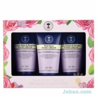 Limited Edition Beautiful Hands Organic Collection