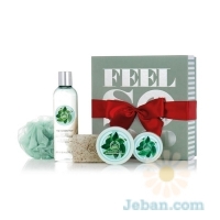 Fuji Green Tea™ Festive Picks Gift Set